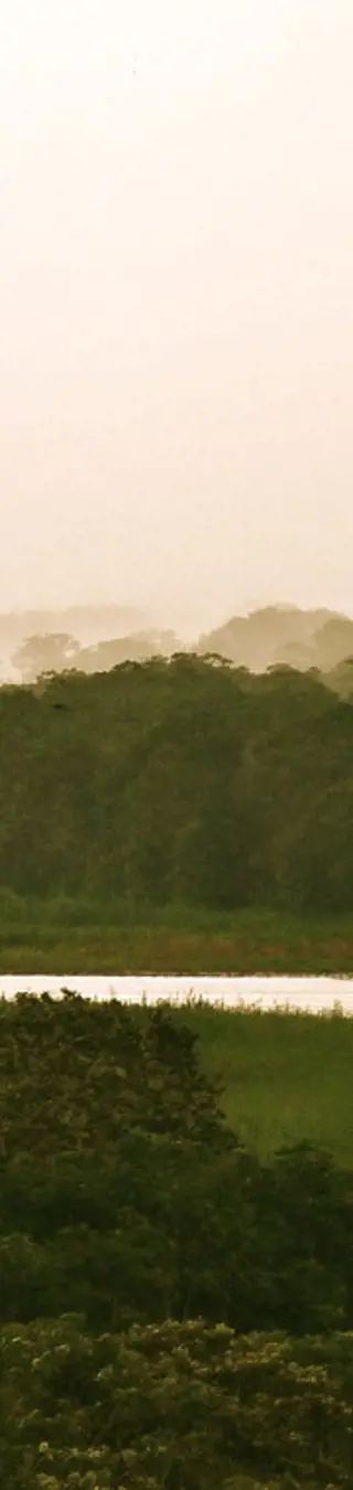 Unterwegs auf den Wasserstrassen des Amazonas